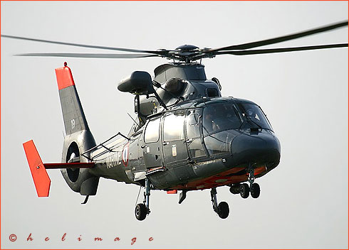 AS365 Dauphin de la Marine nationale en stationnaire