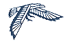 Logo de l'ENAC